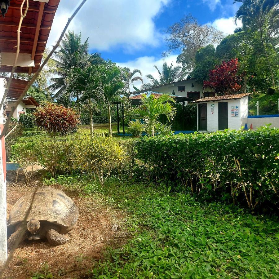 Piedras Blancas Lodge プエルトアヨラ エクステリア 写真